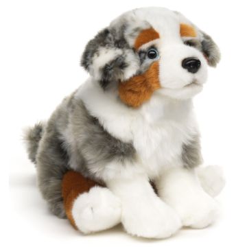 Australian Shepherd Puppy -  sitting (without leash) - 22 cm(Height)  -  PU 32 pcs