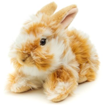 Löwenkopf-Kaninchen, liegend (gold-weiß gescheckt) - Mit aufgestellten Ohren - 23 cm (Länge) -- Plüsch-Hase