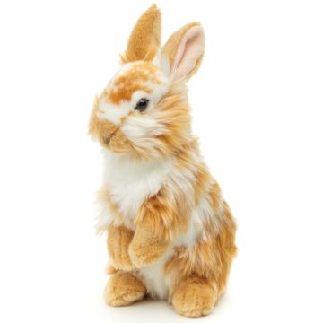 Löwenkopf-Kaninchen, stehend (gold-weiß gescheckt) - Mit aufgestellten Ohren  - 23 cm (Höhe) -- Plüsch-Hase