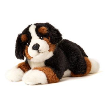 Berner Sennenhund Welpe, liegend - 24 cm (Länge)
