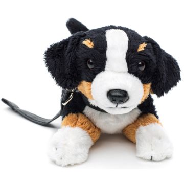 Berner Sennenhund Plushie (mit Leine) - 21 cm (Länge) -- Plüsch-Hund