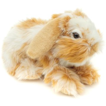 Löwenkopf-Kaninchen, liegend (gold-weiß gescheckt) - Mit hängenden Ohren - 23 cm (Länge) -- Plüsch-Hase