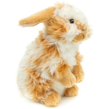 Löwenkopf-Kaninchen, stehend (gold-weiß gescheckt) - Mit hängenden Ohren - 23 cm (Höhe) -- Plüsch-Hase