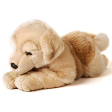Golden Retriever, liegend - 31 cm (Länge) -- Plüsch-Hund