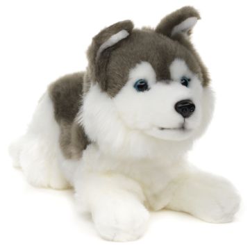 Husky grau, liegend - 31 cm (Länge) -- Plüsch-Hund