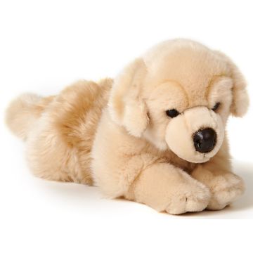 Golden Retriever, liegend - 39 cm (Länge) -- Plüsch-Hund