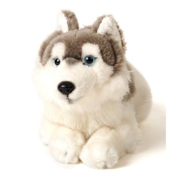 Husky grau, liegend - 40 cm (Länge) -- Plüsch-Hund