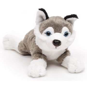 Husky Plushie (ohne Leine) - 22 cm (Länge) -- Plüsch-Hund