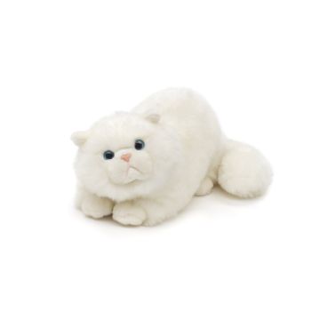 Persian cat lying down - 31 cm (length)