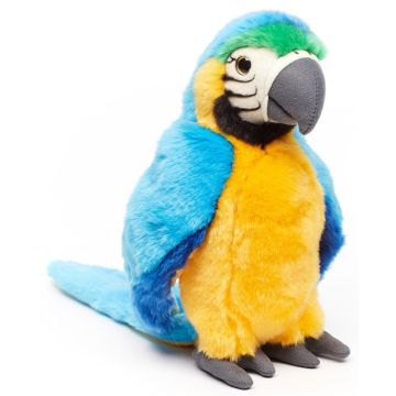 Papagei (blau) - 24 cm (Höhe) -- Plüsch-Vogel