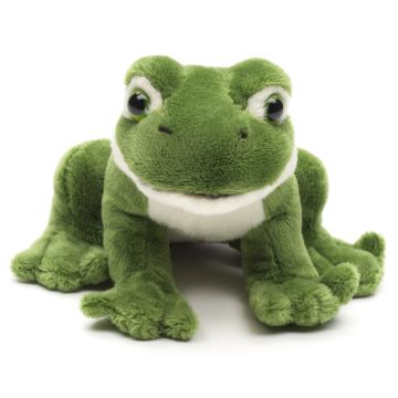 Grüner Frosch Plushie - Mit quakender Stimme - 13 cm (Länge)