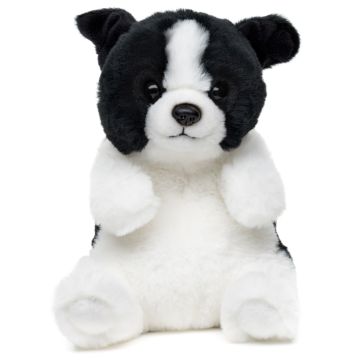 Border Collie, sitzend - Kawaii - 17 cm (Höhe) -- Plüsch-Hund