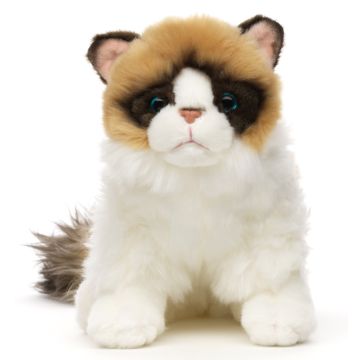 Ragdoll Cat - 35 cm (length)