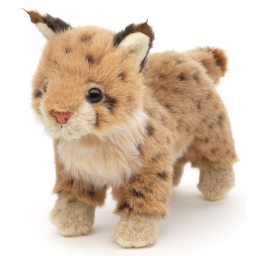 Luchs Junges, stehend - 24 cm (Länge)