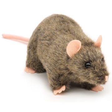 Ratte - 18 cm (Länge)