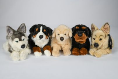 Berner Sennenhund,Husky,Retriever,Schäfer,Rottweiler
