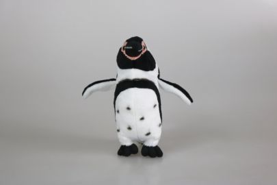 Humboldt Pinguin