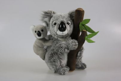 Koala mit Baby