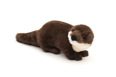 Eco Line Otter