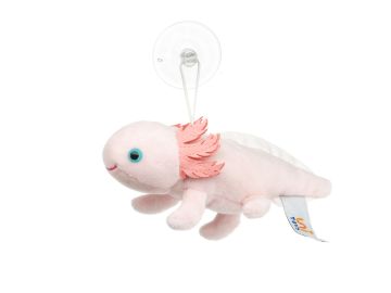 Axolotl mit Saugnapf